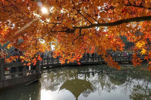 南京栖霞山最佳时间 几月份去最好