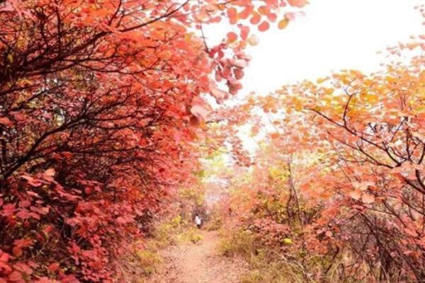 圭峰山一日游最佳路线