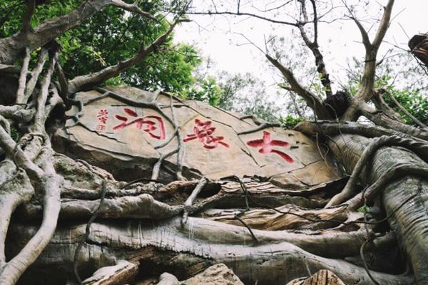 巴山大峡谷有什么好玩的 巴山大峡谷旅游攻略