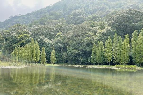 深圳出发自驾游去哪里比较好 自驾游景点推荐