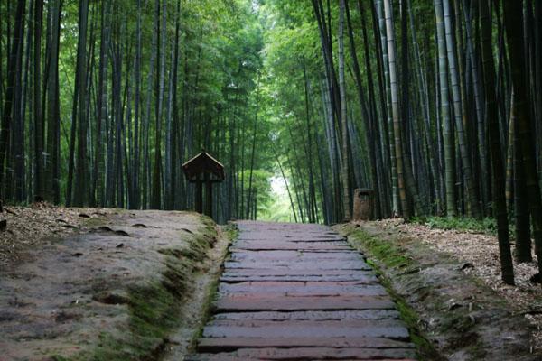 自驾游四川省内旅游最佳路线 5条自驾游最美路线推荐