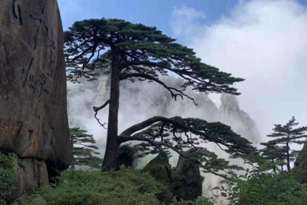 黄山风景区一日游最佳路线