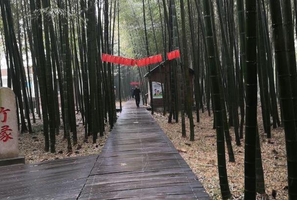 日照竹洞天风景区门票多少钱