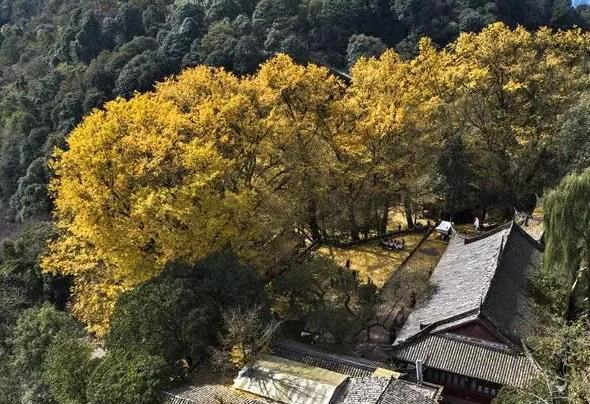 奉节自驾游玩路线推荐