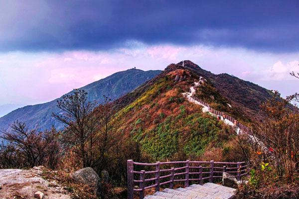 大围山国家森林公园门票多少钱 门票优惠