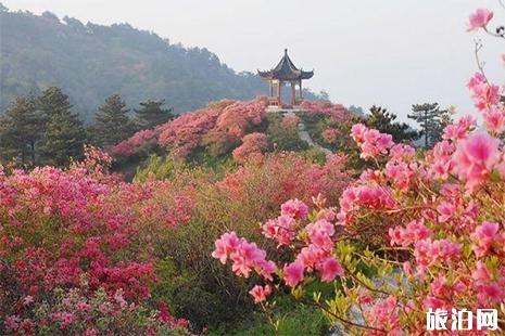 木王山景区在哪儿 木王山景区门票 木王山景区游玩攻略