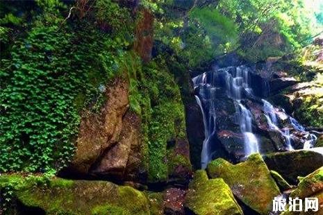 木王山景区在哪儿 木王山景区门票 木王山景区游玩攻略