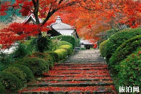 北京香山公园 香山公园门票 香山公园赏玩攻略