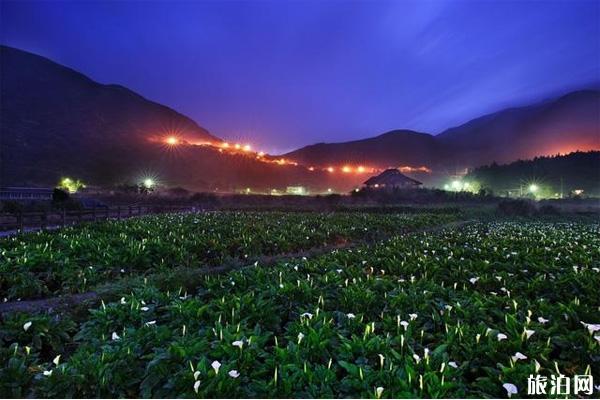 台北阳明山国家森林公园攻略 台北阳明山国家森林公园在哪里