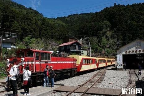 台湾阿里山风景区 台湾阿里山门票 阿里山风景区必玩的景点介绍