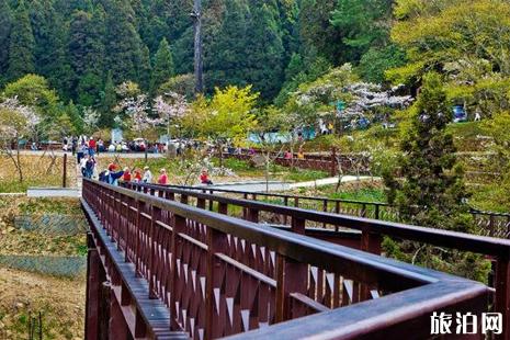 台湾阿里山风景区 台湾阿里山门票 阿里山风景区必玩的景点介绍