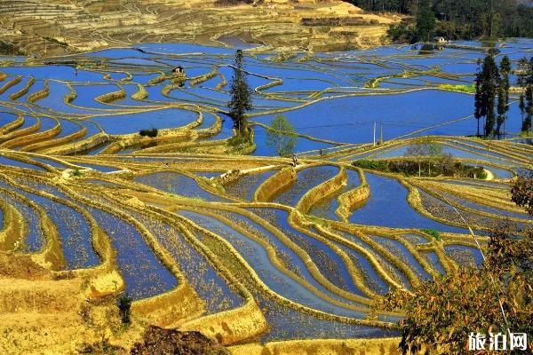 元阳梯田最佳旅游时间 元阳梯田旅游注意事项 元阳梯田旅游攻略