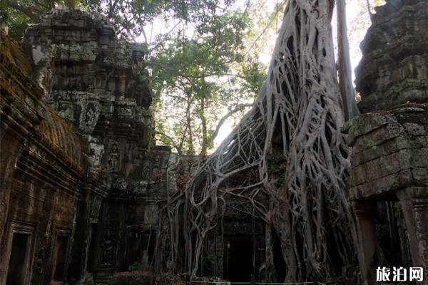 吴哥窟旅游玩法 吴哥窟景点推荐