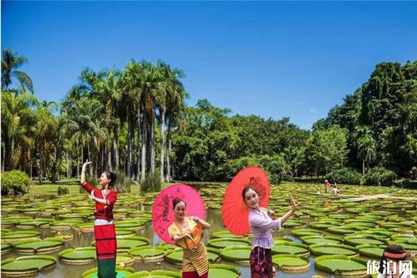 西双版纳热带植物园 西双版纳热带植物园简介 中科院西双版纳热带植物园攻略