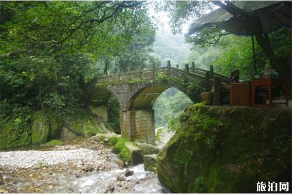 青城后山索道 青城后山门票 青城后山游玩攻略