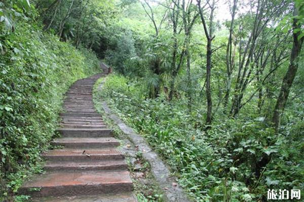 青城后山索道 青城后山门票 青城后山游玩攻略