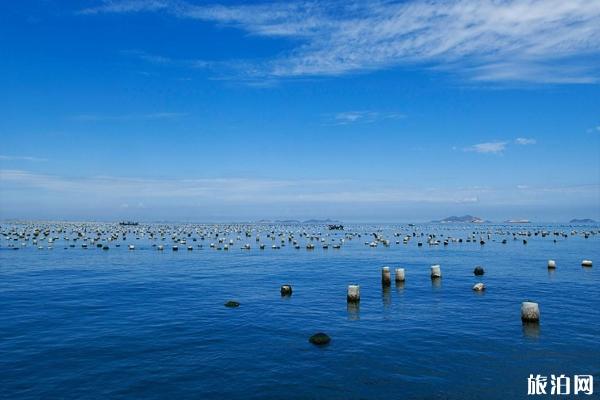 枸杞岛 去枸杞岛的最佳时间 枸杞岛自由行攻略