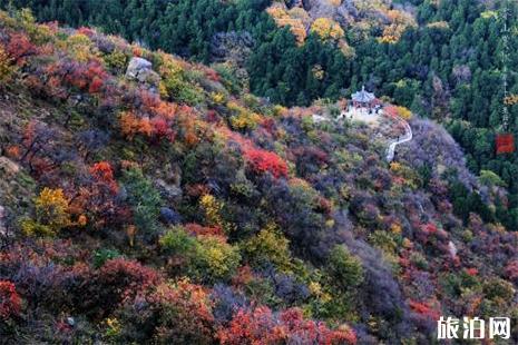 北京香山公园 香山公园门票 香山公园赏玩攻略