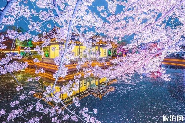 鼋头渚风景区 太湖鼋头渚风景区门票价格 鼋头渚樱花最佳观赏期