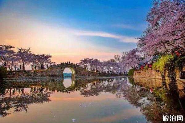 鼋头渚风景区 太湖鼋头渚风景区门票价格 鼋头渚樱花最佳观赏期