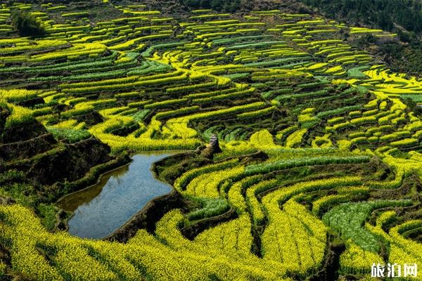 婺源风景区 婺源门票价格优惠政策 婺源自驾旅游攻略