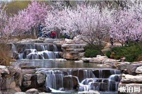 北京植物园 北京植物园预约 北京植物园门票是多少