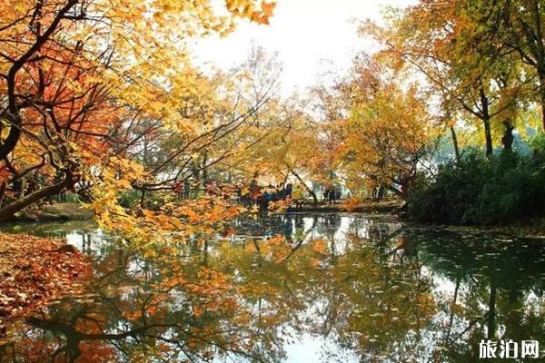 苏州天平山枫叶什么时候红 苏州天平山景区怎么样