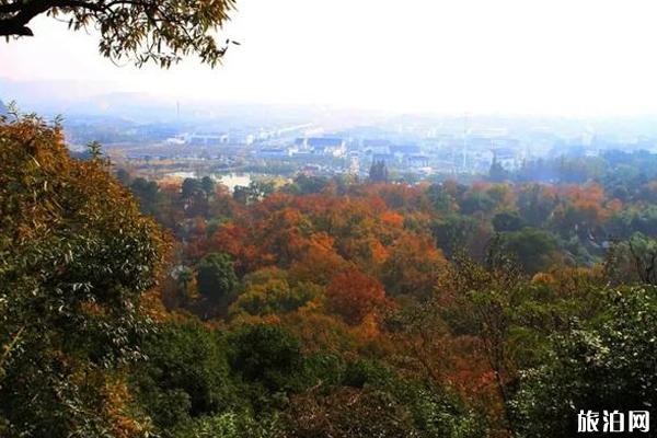 苏州天平山枫叶什么时候红 苏州天平山景区怎么样