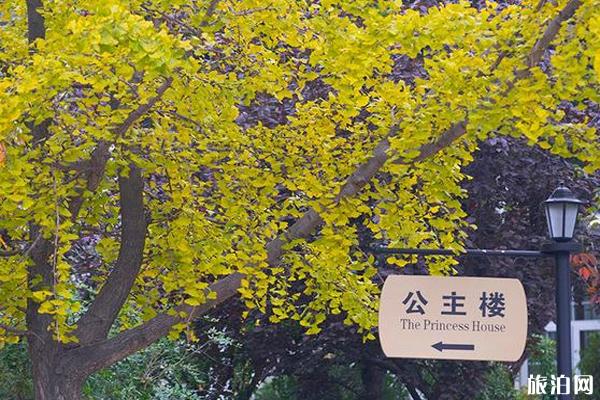 青岛八大关风景区 八大关风景区介绍 八大关风景区攻略