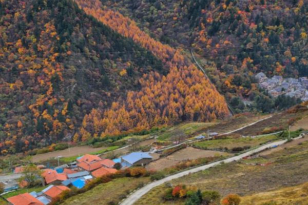 川西红叶最漂亮的地方在哪里