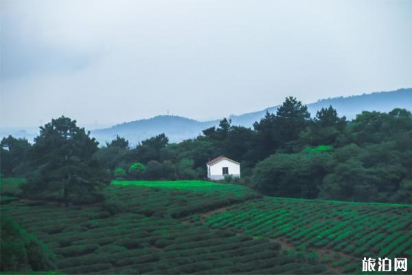 高淳旅游攻略 高淳景点推荐