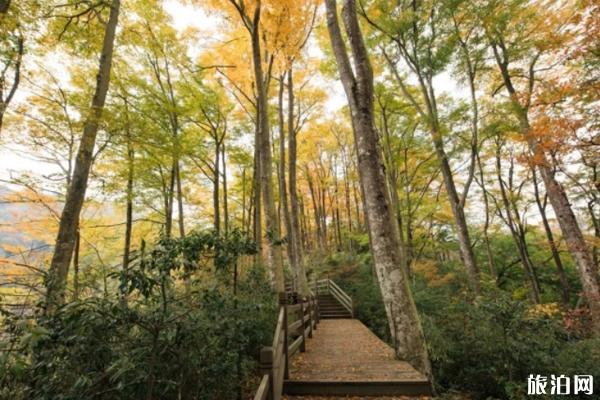 光雾山有什么景点 光雾山登山攻略