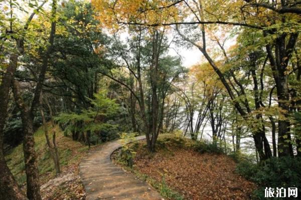 光雾山有什么景点 光雾山登山攻略