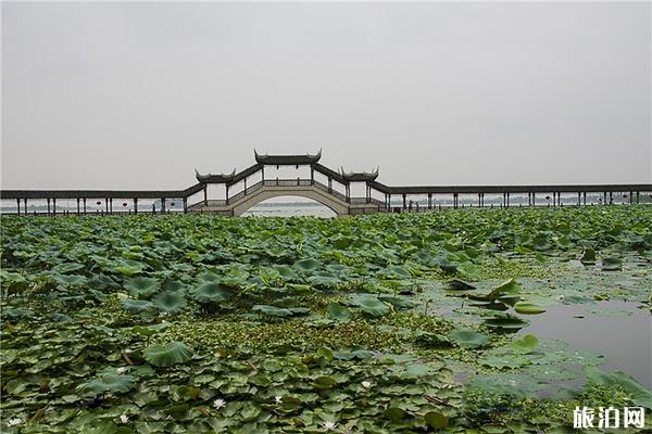 锦溪古镇旅游攻略 锦溪古镇住宿推荐