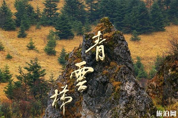 神农顶风景区天气 神农顶在哪里 神农顶游玩攻略