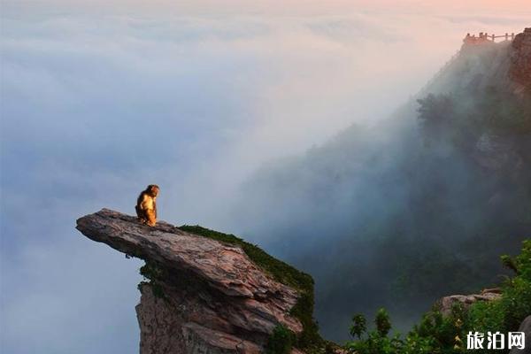 连云港花果山在哪里 花果山旅游攻略 花果山有什么景点