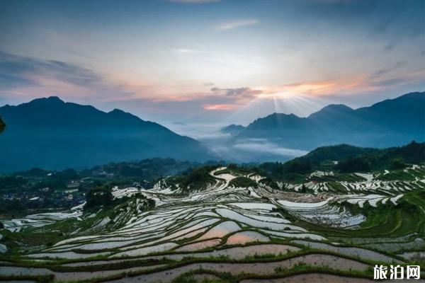 云和梯田旅游攻略 运河梯田好玩吗 云和梯田看点