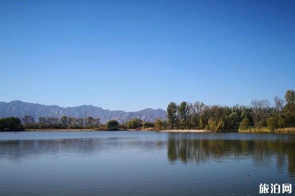 翠湖湿地公园 翠湖湿地公园门票预约方式 翠湖湿地公园游玩攻略