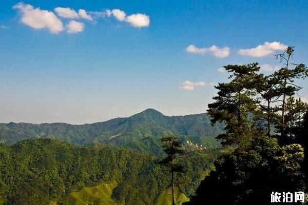 龙栖山自然保护区 龙栖山自然保护区简介 龙栖山自然保护区秋季旅游线路