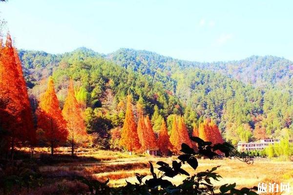 龙栖山自然保护区 龙栖山自然保护区简介 龙栖山自然保护区秋季旅游线路