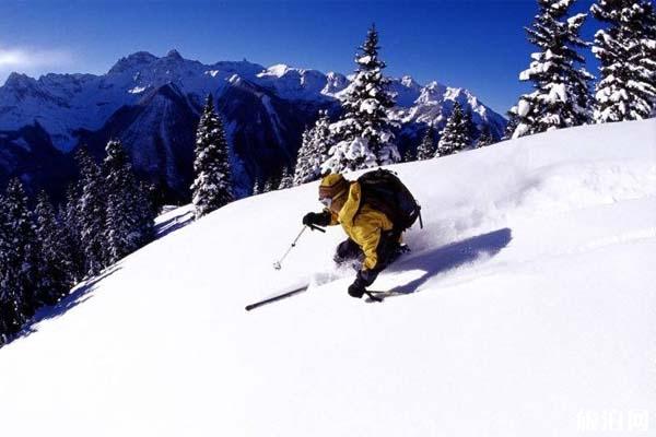 长春莲花山滑雪场 长春莲花山滑雪场攻略 长春莲花山滑雪场票价