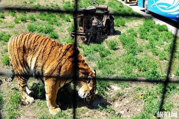 太原动物园现在能去吗 太原动物园门票价格 太原动物园游玩攻略