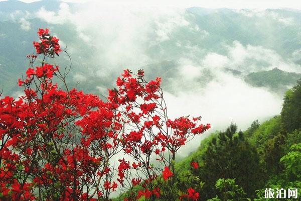 苏马荡景区 苏马荡景区门票 苏马荡景区介绍