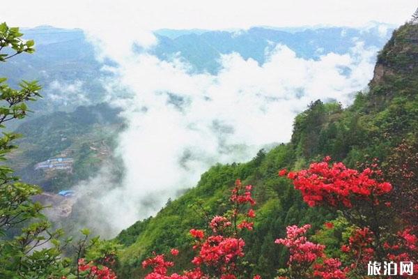 苏马荡景区 苏马荡景区门票 苏马荡景区介绍