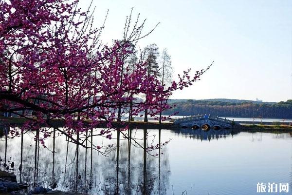 武汉东湖磨山风景区门票 武汉东湖磨山景点 武汉东湖磨山介绍