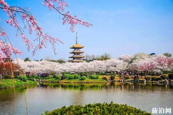 武汉东湖磨山风景区门票 武汉东湖磨山景点 武汉东湖磨山介绍