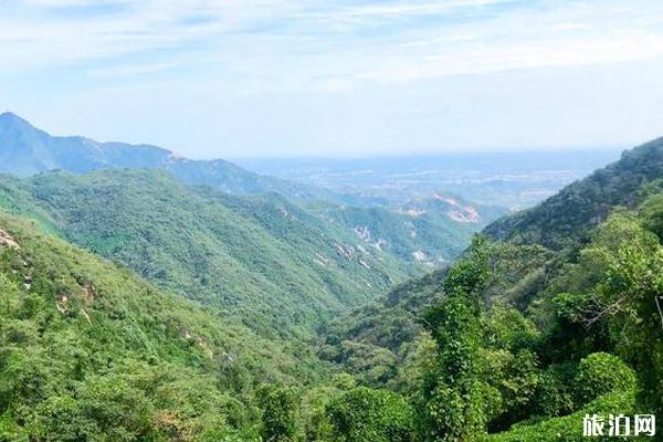 藤龙山 藤龙山旅游攻略 藤龙山周边旅游景点推荐