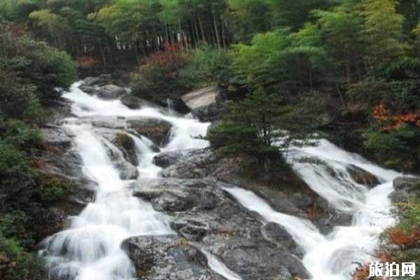 天目山旅游攻略 旅游景点介绍和交通