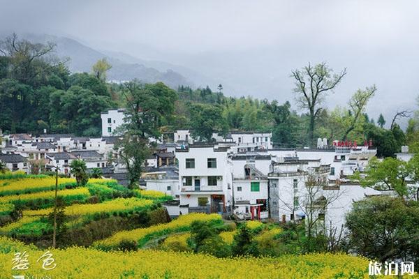 江岭油菜花好看吗 门票多少钱