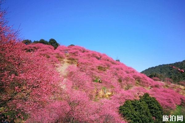 溪口风景区一日游 门票价格